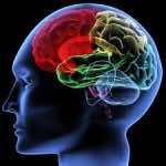 emotionally intelligent