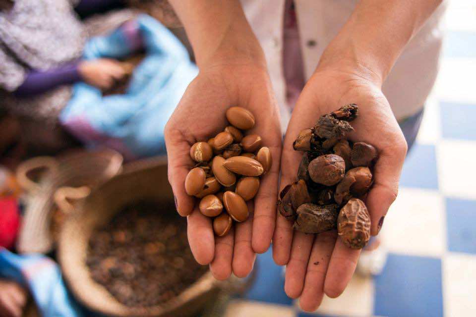 Laila Kanzi holds up a handful of argan nuts and a handful of dried fruit casings.