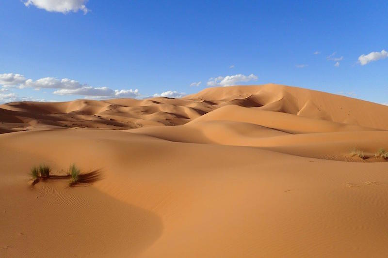 desert oasis morocco
