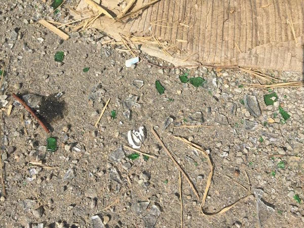Green Broken glass