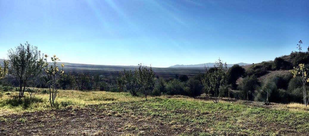 Volubilis