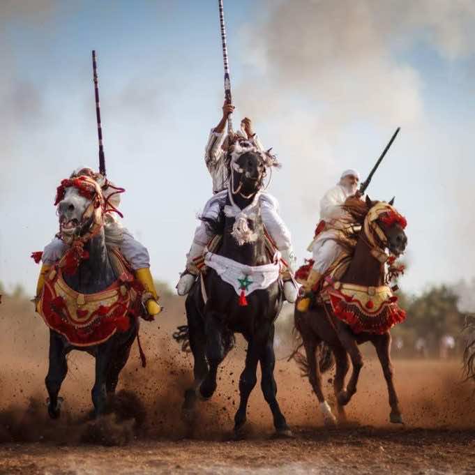 Tbourida Rider Shot Dead During Festival in Settat