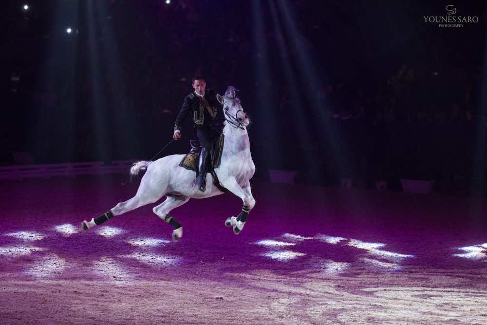 the-closing-ceremony-of-el-jadida-salon-de-cheval-3