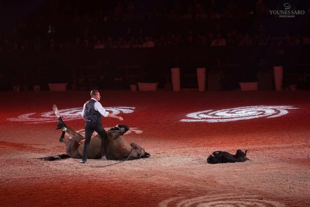 the-closing-ceremony-of-el-jadida-salon-de-cheval-4