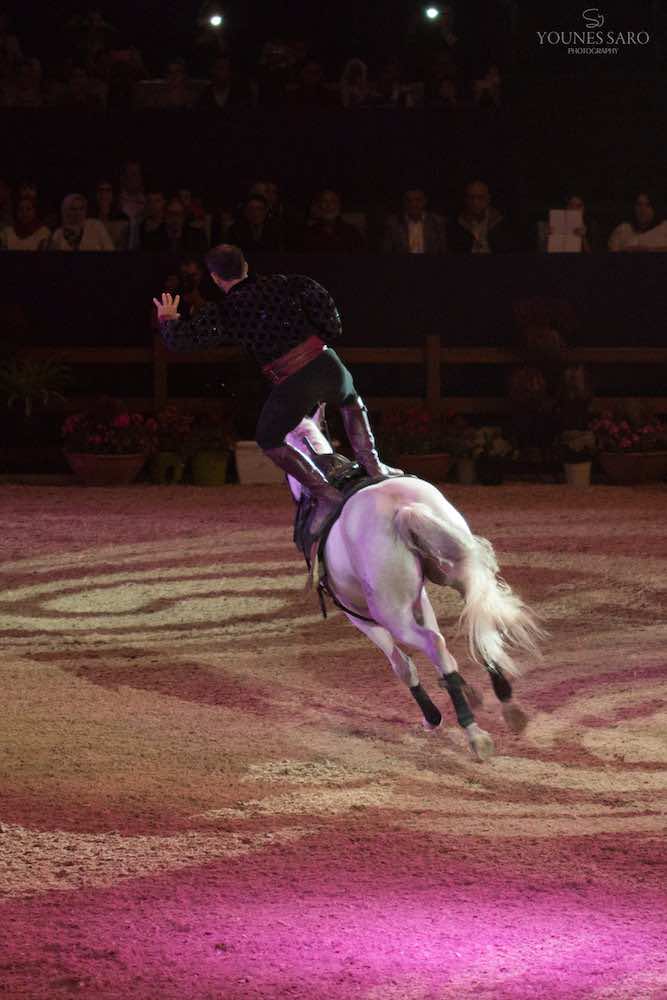 the-closing-ceremony-of-el-jadida-salon-de-cheval-5