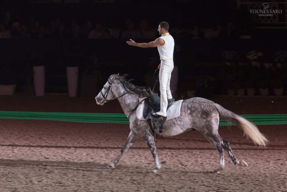 the-closing-ceremony-of-el-jadida-salon-de-cheval-8