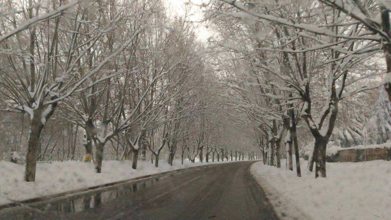 In Pictures Glamorous View of Ifrane Under Snow....