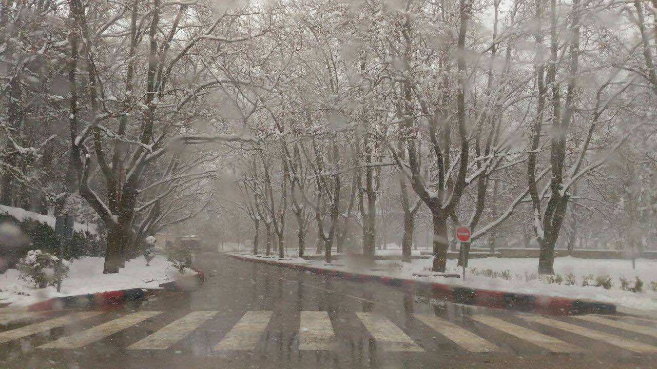 Although Spring officially started on March 21, the residents of Ifrane, often called Morocco’s Switzerland, and its surrounding areas woke up on Friday to panoramic snowy views.