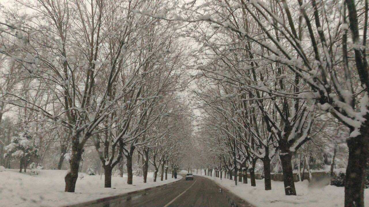 In Pictures: Glamorous View of Ifrane Under Snow 
