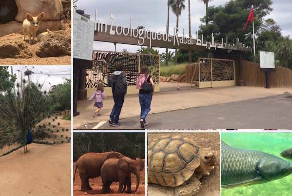 TripAdvisor Awards Rabat National Zoo with 2018 Excellence Certificate