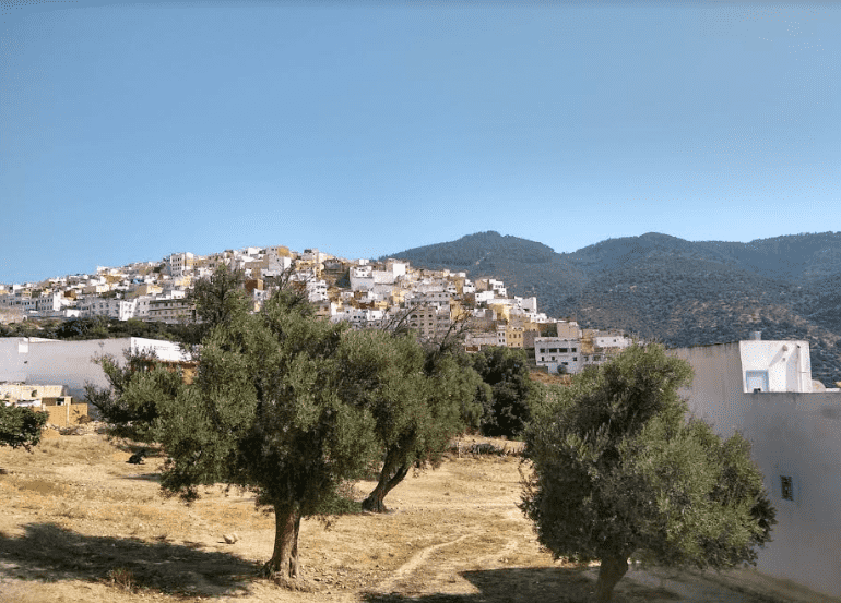 Moulay Idriss Zerhoun: A Piece of Largely Untouched Moroccan History