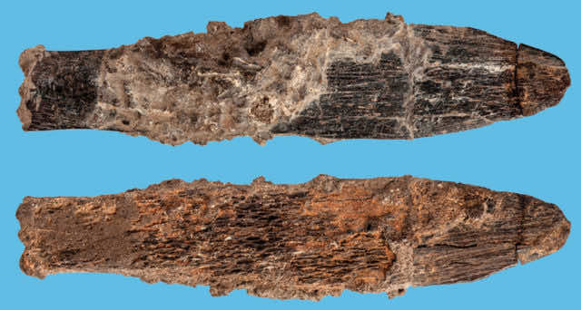 Scientists find oldest bone knife in North Africa in Morocco