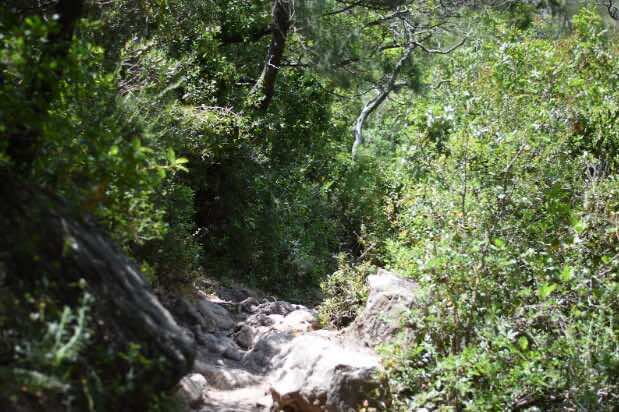 A rocky and uneven hiking path dominates the route to the Cascades d’Akchour and give even experienced hikers a chance to challenge themselves.