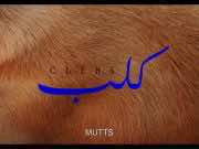 Moroccan Short Film Featuring Agadir Animal Sanctuary Wins at Berlinale Moroccan Short Film Featuring Agadir Animal Sanctuary Wins at Berlinale