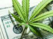 US Study: Marijuana a Necessity During COVID-19 Crisis