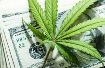 US Study: Marijuana a Necessity During COVID-19 Crisis