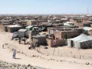 Latin American NGOs: ‘Panic and Despair’ Rife in Tindouf Camps
