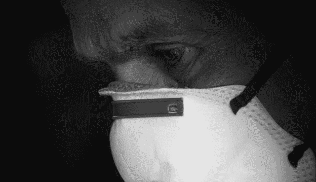 Moroccan Textile Company to Distribute 4 Million Free Face Masks