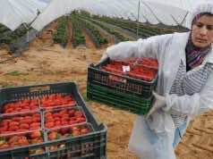 Moroccan Human Rights Association Calls to Bring Seasonal Workers Home