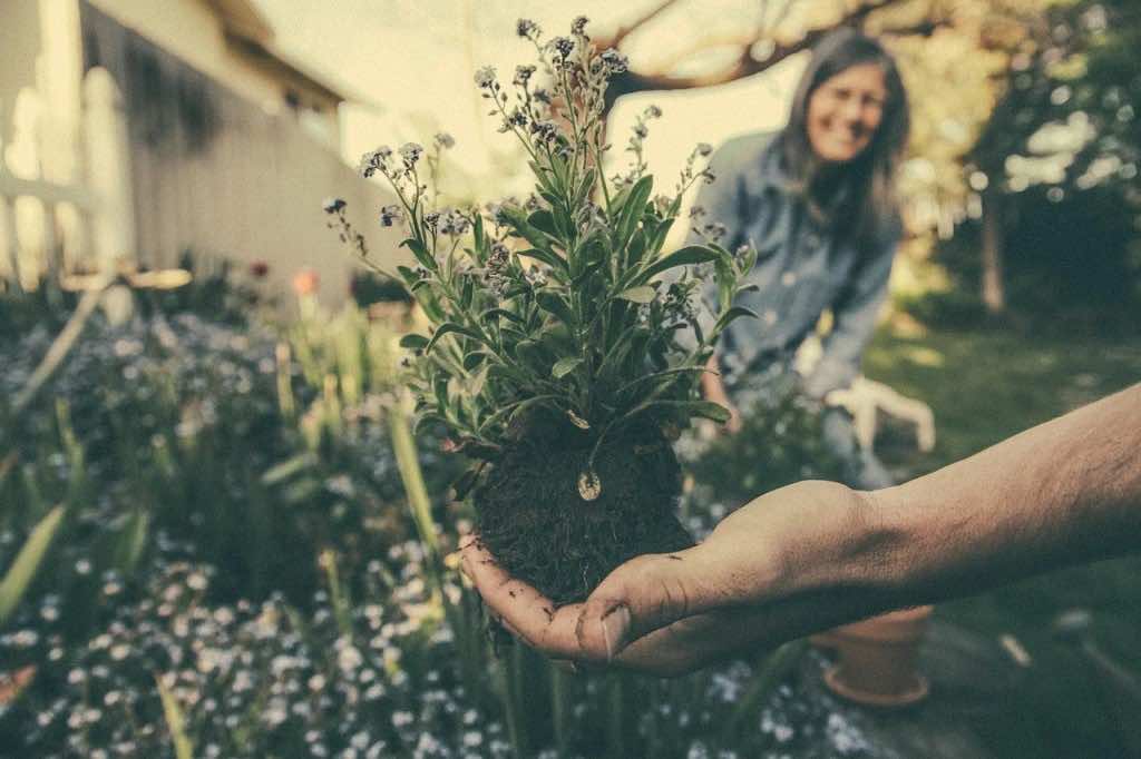 Five Physical and Mental Health Benefits of Gardening