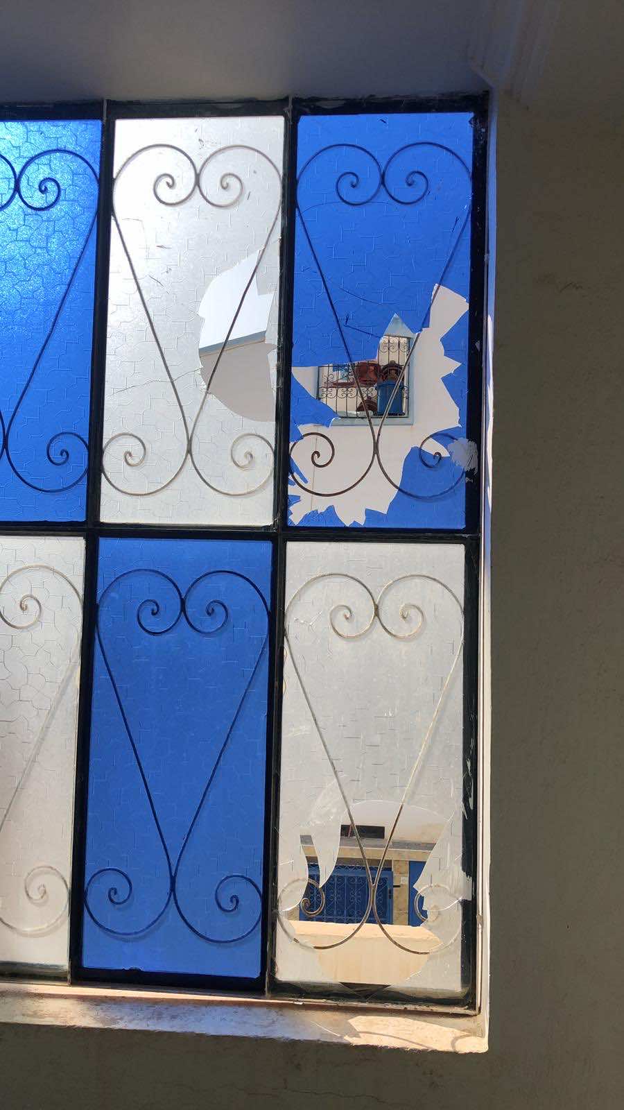 ‘We Are Broken’: 6 Dogs Killed in Attack on Morocco Animal Aid