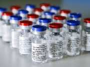 Russian Envoy: Morocco Considering Russian Sputnik V Vaccine