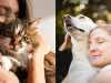 Benefits of Pet Ownership_ 6 Reasons Why You Should Adopt A Pet