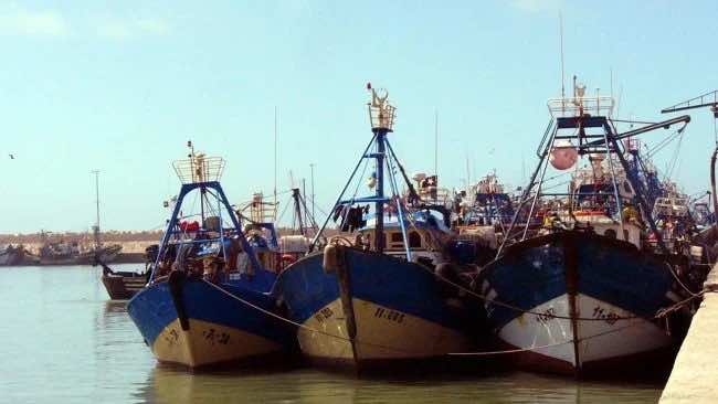 Fish Landing at Morocco's Tan-Tan Port Reaches $58.8 Million