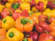 Germany Pulls Moroccan Peppers Due to Toxic Pesticide