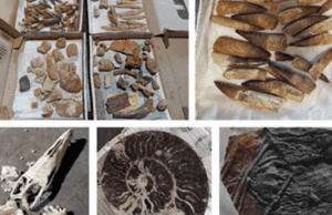 Morocco’s Customs Thwarts Geological Artifact Smuggling Operation