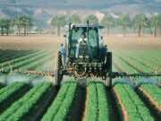 Morocco’s OCP Group Among Finalists of 2021 Franz Edelman Award Morocco’s OCP Group Among Finalists of 2021 Franz Edelman Award