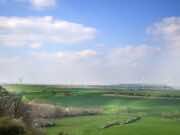 Planting Hope, Growing Peace: Models for Sustainable Peacebuilding in the MENA