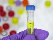 Spain Suspends PCR Test Requirement for Passengers from Morocco Spain Suspends PCR Test Requirement for Passengers from Morocco