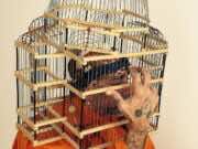 Maison Artc: Morocco’s Modernized Vintage Fashion House Maison Artc: Morocco's Modernized Vintage Fashion House