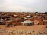 French NGO Accuses Polisario of Training Child Soldiers