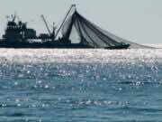 EU: Products From Western Sahara Are Not Subject to Import Prohibition EU: Products From Western Sahara Are Not Subject to Import Prohibition