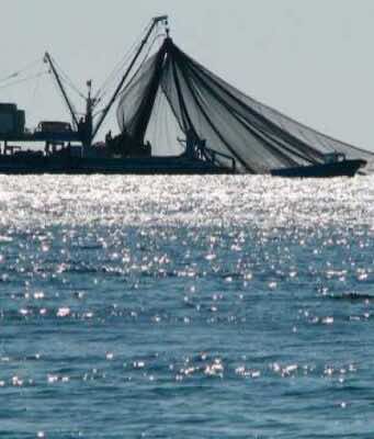 EU: Products From Western Sahara Are Not Subject to Import Prohibition EU: Products From Western Sahara Are Not Subject to Import Prohibition