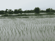 Rain, Cold Weather to Continue in Morocco Until Tuesday