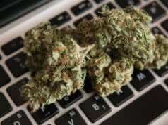 Online Community Applauds Morocco for Cannabis Legalization