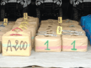 Cannabis: Morocco Aborts International Drug Trafficking Attempt Cannabis: Morocco Aborts International Drug Trafficking Attempt