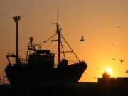 EU-Morocco Deals: Lawyers Shatter Polisario’s Claims in ECJ EU-Morocco Deals: Lawyers Shatter Polisario’s Claims in ECJ