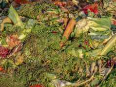 Food Waste Rises Dramatically During the Month of Ramadan in Morocco Food Waste Rises Dramatically During the Month of Ramadan in Morocco
