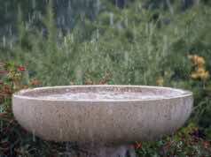 Morocco Expects More Heavy Thunderstorms from Today