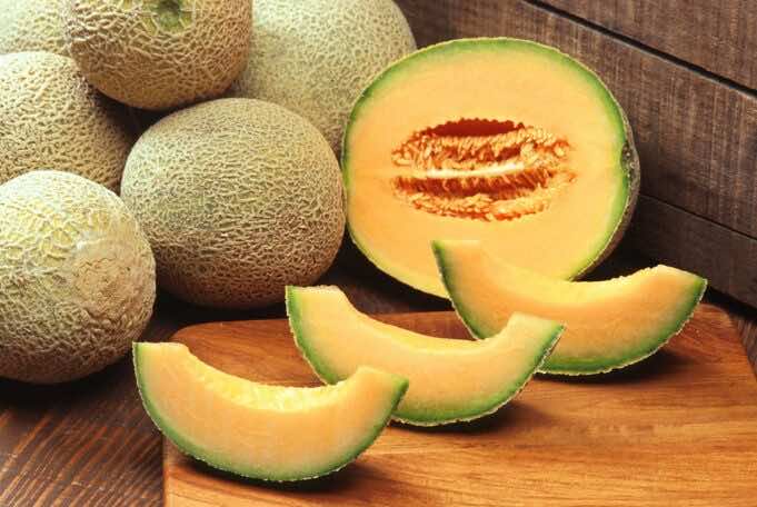 Morocco: Fourth Biggest Melon Exporter to the EU in 2020 Morocco: Fourth Biggest Melon Exporter to the EU in 2020