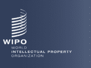 African Countries Should Focus on Intellectual Property to Drive Growth