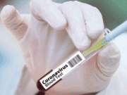 COVID-19, Morocco’s Vaccinated Population Exceeds 5 Million