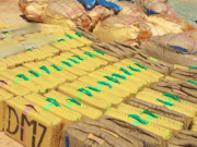 Morocco Foils International Drug Trafficking Attempt, Arrests 9 in Tangier Morocco Foils International Drug Trafficking Attempt, Arrests 9 in Tangier