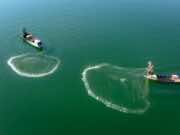 Morocco, UN to Boost Cooperation in Marine Sciences, Fisheries Research