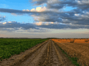 Oxford Business Report Reflects OCP’s Commitment to Develop African Agriculture