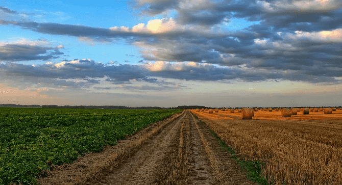 Oxford Business Report Reflects OCP’s Commitment to Develop African Agriculture